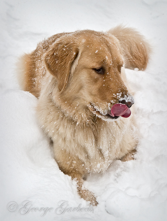 Taste of Winter 2